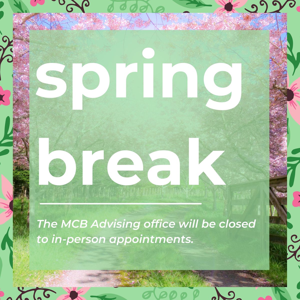 The MCB Advising office will be closed to in-person appointments during spring break. Some advisors will be holding Zoom and phone appointments during that week. There will be no drop-in advising or online chat options. All normal advising services will resume on March 21.