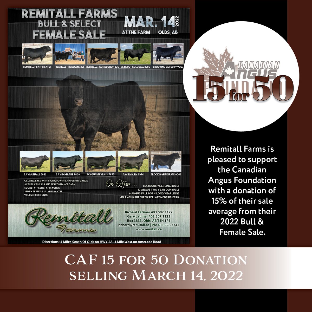 Remitall Farms is pleased to support the Canadian Angus Foundation w/a donation of 15% of the average from their 2022 Bull &amp; Female Sale being held Mon, Mar 14th at Olds, AB. Visit: remitall.ca or issuu.com/bohrsonmarketi… #cdnangus #canadianangusfoundation