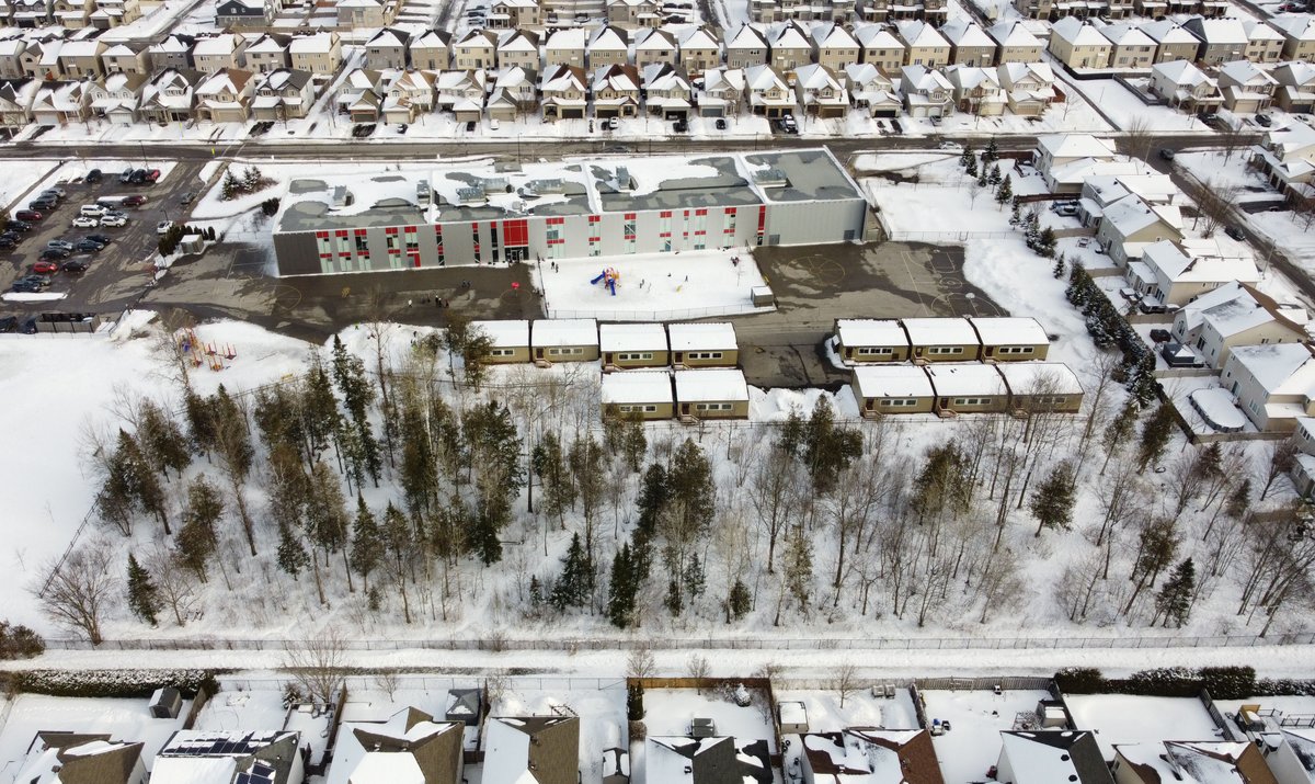 tonysunphoto's tweet photo. The woods on the grounds of Westwind Public School in #Stittsville will be cut down before April 15 to make room for a play area. The Ottawa-Carleton District School Board says the wooded area is hard to monitor. Neighbours are not happy. #ottnews @ottawacity #OTSB @WestwindPS https://t.co/mUZrOlPc8h