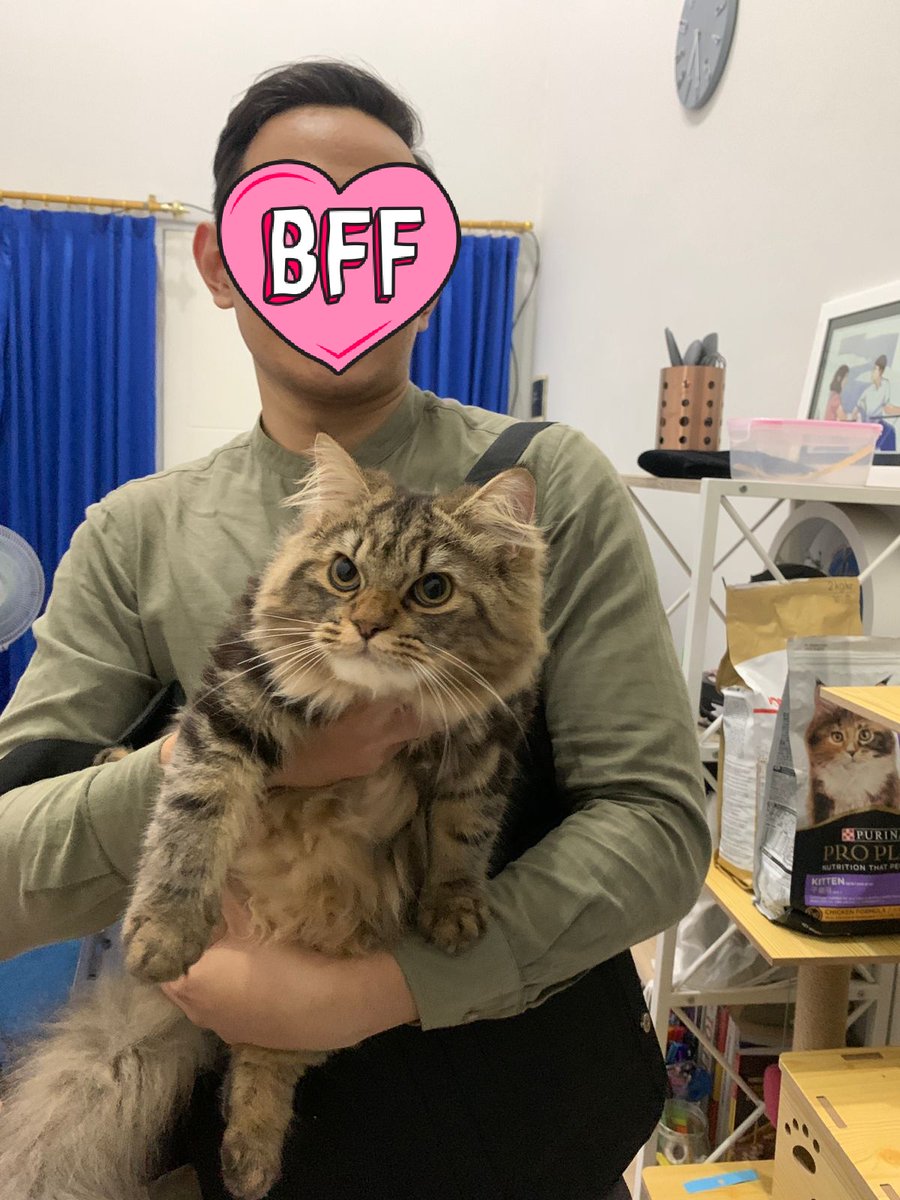 kusukajetZ's tweet photo. @ZOO_FESS Kenalin ini namanya Giovilo anak tunggal di rumah. Super dimanja dan kelakuannya semena-mena 🙂🙏 https://t.co/aagcpkqbOU