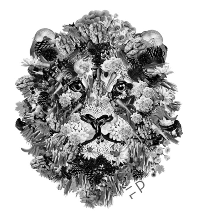 FacePlantNFTees's tweet photo. To all the Kings &amp; Queens out there, GM &amp; happiest of Fridays to you all.
☀️🦁🖤💖

#NFTs #lion #nftcommunity #nftcollectors #nftcollection #newnftartist #nftart #eth #bayc #garyvee #nftinvestor #newnftproject https://t.co/T8nCnwgCuU