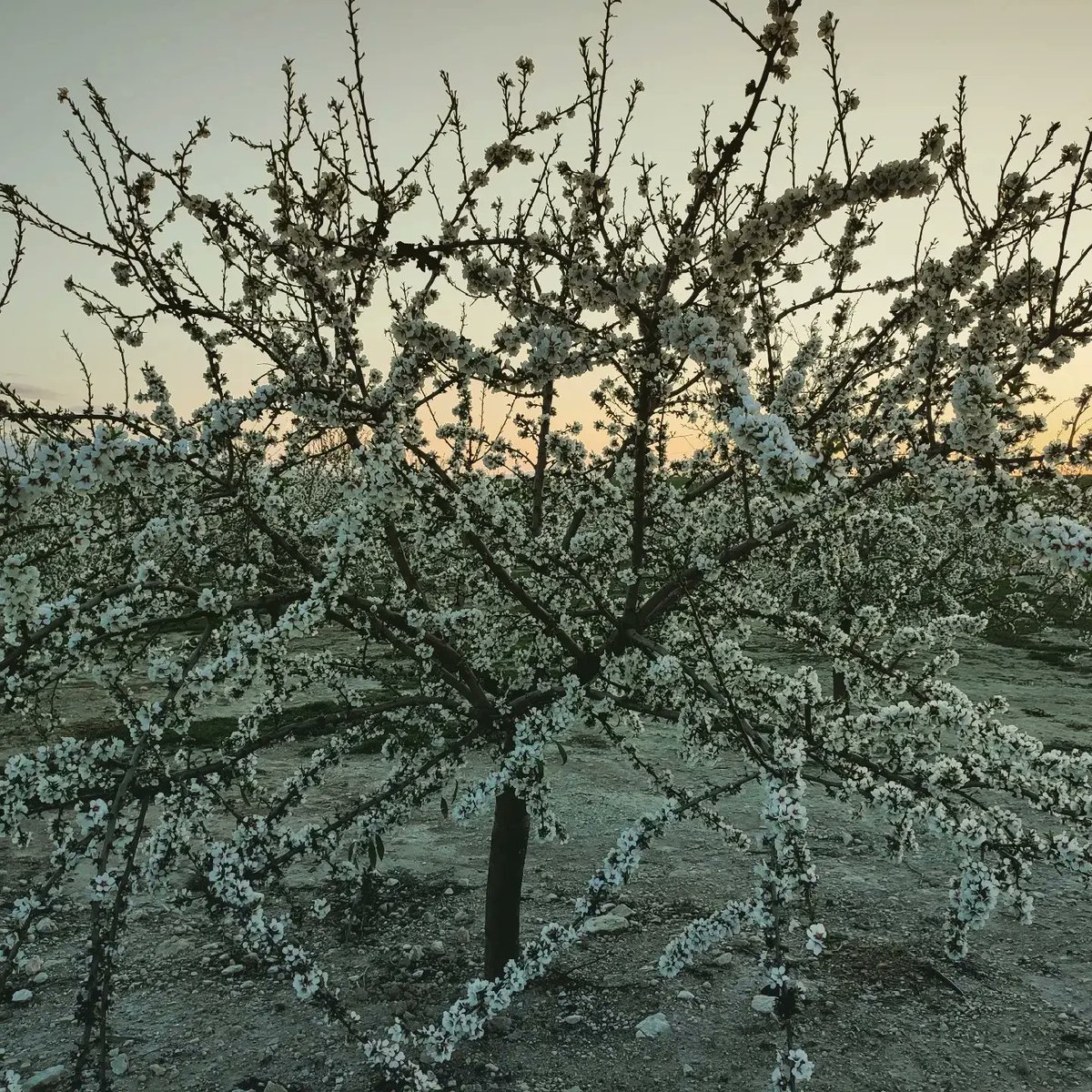 Casas Rurales tweet media