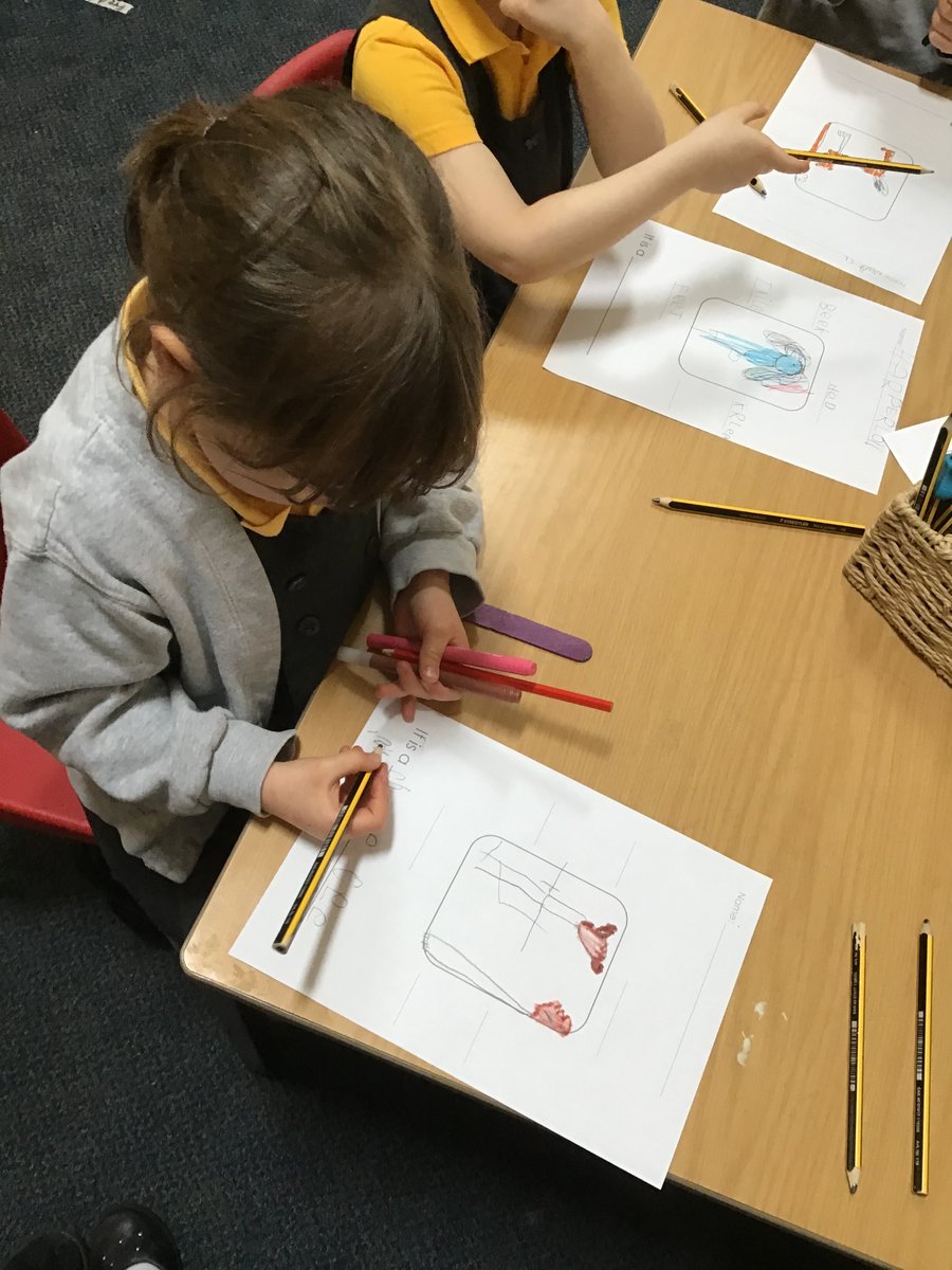 RedClassCharlt1's tweet photo. It’s been a busy morning! Look at our amazing Jungle Animal posters!🐯🦁🐼🐵🦇 https://t.co/vVVjSaoXjK