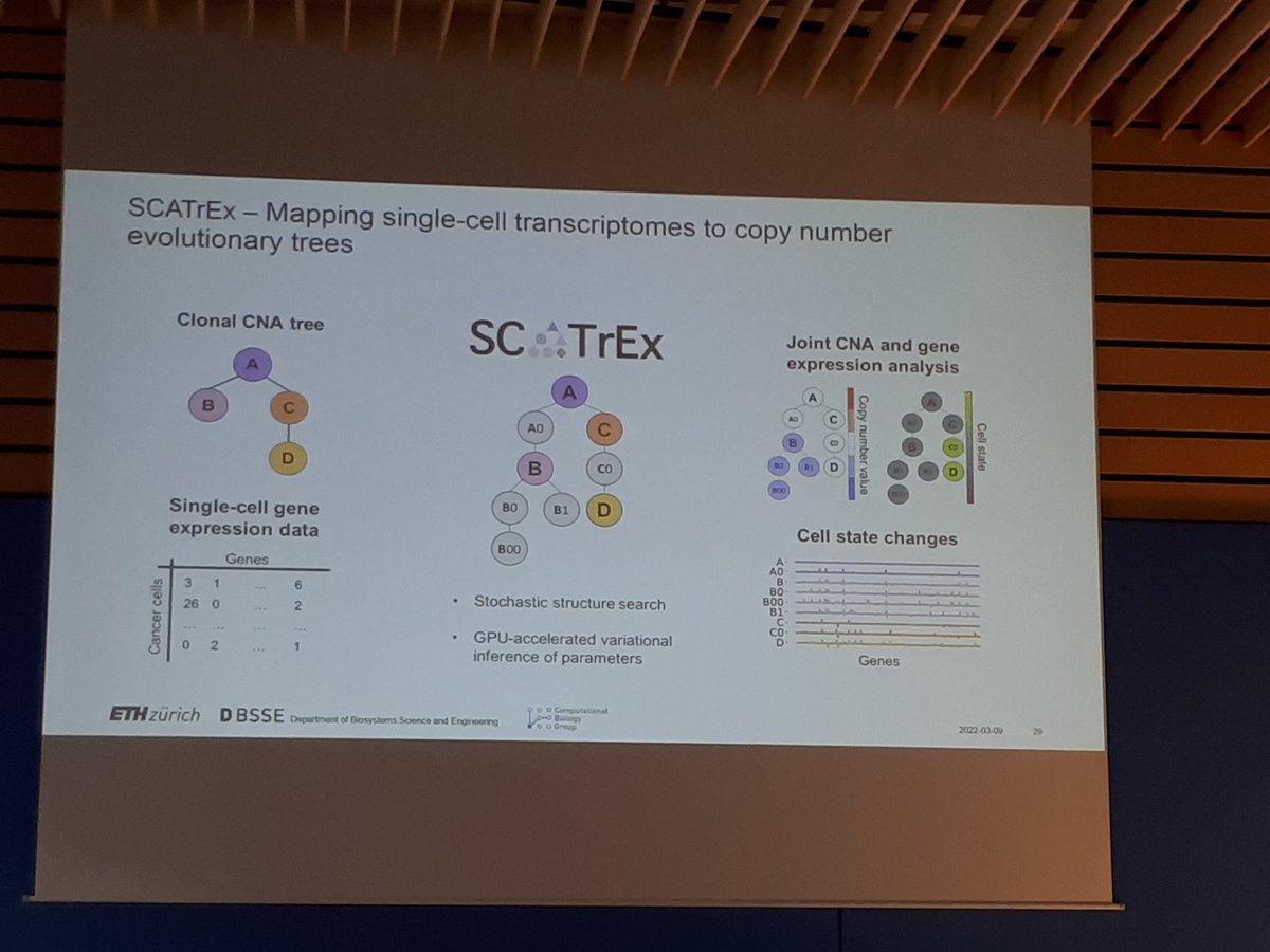 RuthSeurinck's tweet photo. Great talk from Niko Beerenwinkel @cbg_ethz at #ABLS22 on how probabilistic modelling can help decipher tumor evolution ππ https://t.co/oKzb3Cd3JU