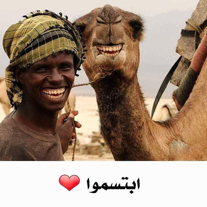 عادل النقبي tweet media