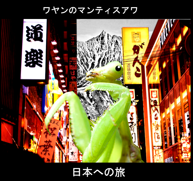 HourWayan's tweet photo. New Mantis Hour on Slacks this Sunday at 16:00.
A Trip to Japan : A Japanese Special.

Expect 80s City Pop, 60s Rock n Roll, New Wave Jazz and Noise Pop. https://t.co/OmBJI8Plha