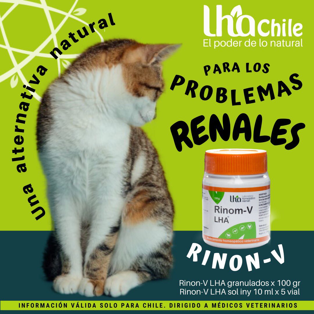 lha_chile's tweet photo. Rinon-v LHA 
Regulando el metabolismo, la eliminación renal y diuresis.

𝘾𝙤𝙣𝙨𝙪𝙡𝙩𝙖 𝙩𝙪 𝙢𝙚́𝙙𝙞𝙘𝙤 𝙫𝙚𝙩𝙚𝙧𝙞𝙣𝙖𝙧𝙞𝙤 𝙥𝙤𝙧 𝙡𝙖 𝙢𝙚𝙙𝙞𝙘𝙞𝙣𝙖 𝘼𝙣𝙩𝙞𝙯𝙤𝙤𝙩𝙤́𝙭𝙞𝙘𝙖 𝙮 𝘽𝙞𝙤𝙧𝙧𝙚𝙜𝙪𝙡𝙖𝙙𝙤𝙧𝙖 𝙥𝙖𝙧𝙖 𝙩𝙪 𝙢𝙖𝙨𝙘𝙤𝙩𝙖.

#huellaslhachile https://t.co/UL6aI1UBTx