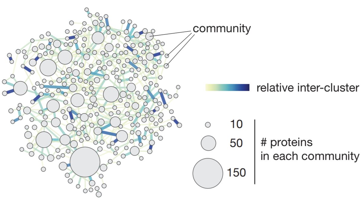 Matthias Mann Lab (@labs_mann) on Twitter photo #OpenCell – Proteome-scale measurements of human protein interactions and localization is now published in <a href="/ScienceMagazine/">Science Magazine</a>. In collaboration with the <a href="/czbiohub/">Chan Zuckerberg Biohub Network</a> we leverage #CRISPR technology and combine ultra-sensitive #proteomics with confocal imaging.
science.org/doi/10.1126/sc… #OpenCell – Proteome-scale measurements of human protein interactions and localization is now published in <a href="/ScienceMagazine/">Science Magazine</a>. In collaboration with the <a href="/czbiohub/">Chan Zuckerberg Biohub Network</a> we leverage #CRISPR technology and combine ultra-sensitive #proteomics with confocal imaging.
science.org/doi/10.1126/sc…