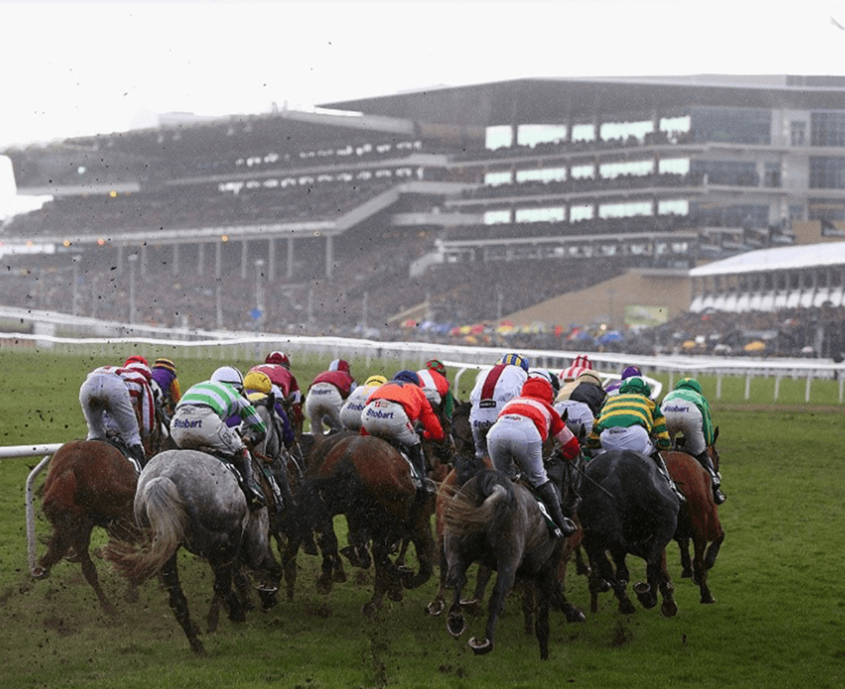 The Cheltenham Festival is nearly here and Betfair asked me to put five of my strongest ante-post selections down on paper, so here they are! RTs appreciated. betting.betfair.com/horse-racing/c…