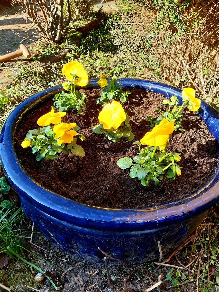 Op deze mooie zonnige dag zijn we samen met huurders en vrijwilligers in 5 gemeenten aan de slag in de tuin #NLDoet #NLDoet22