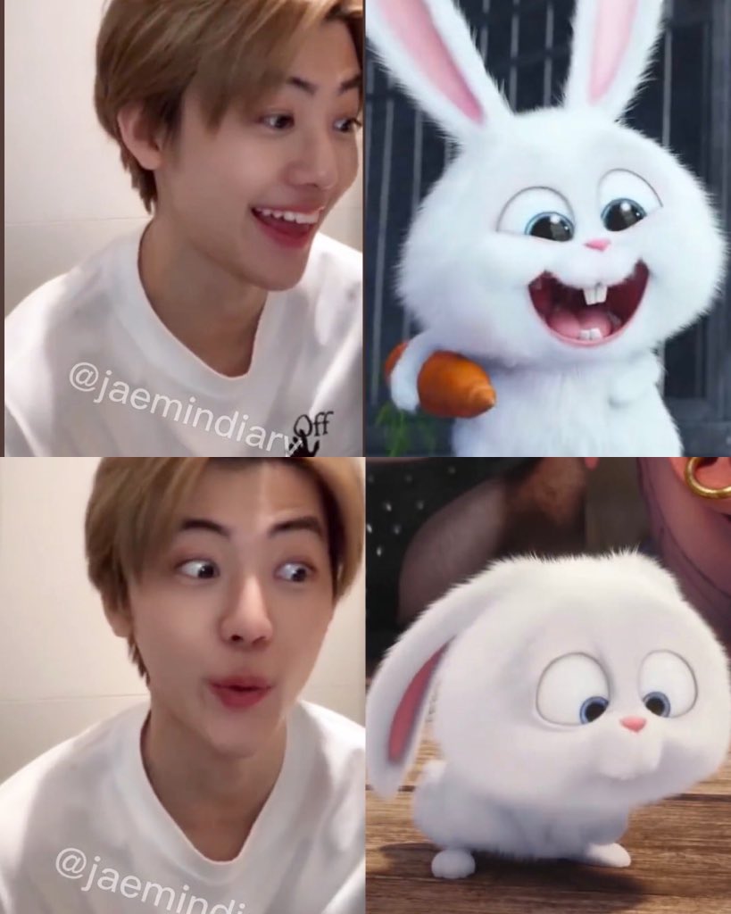 _nanajaemin's tweet photo. เน้กยังไม่ลืมว่าตัวเองเป็นสโนว์บอล🐰 https://t.co/46GOqXKOTB