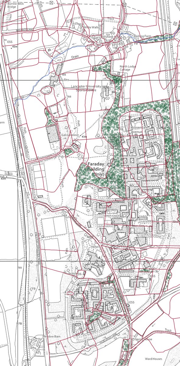 Julia Heslop tweet media