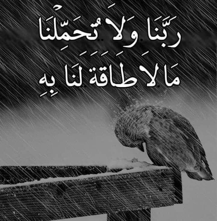 MhmwdAlmslm's tweet photo. https://t.co/HcgK8p8dap