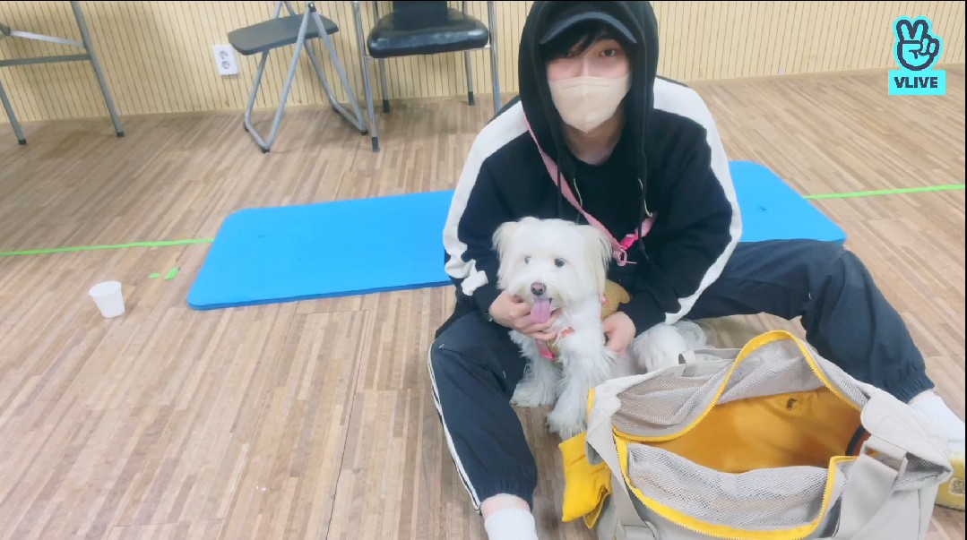 Qashrinairdina's tweet photo. When cutie met cutie: https://t.co/ze4WRissqH
