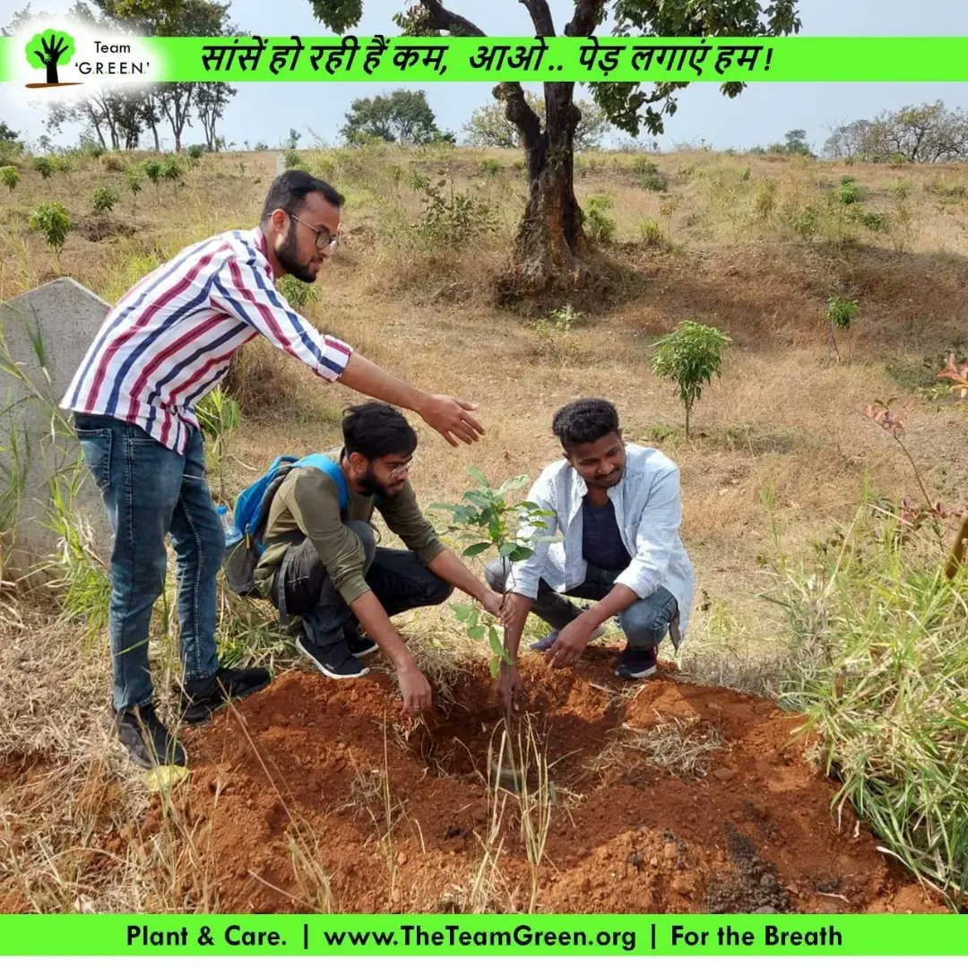 TweetTeamGREEN's tweet photo. February 27, 2022_
#sundaysignaturedrive
#treeplantation🌱 drive at Govt. Primary School, Ara village, Ormanjhi
We have planted 10 Maulshree Saplings with Pradhan Jee and Villegers.
#GoGreenBrforeGreenGoes🌱 #keepplantingtrees https://t.co/m1PVLJJSuR