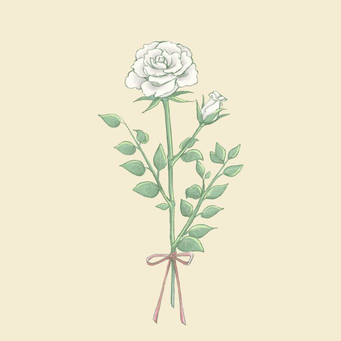 白バラのtwitterイラスト検索結果
