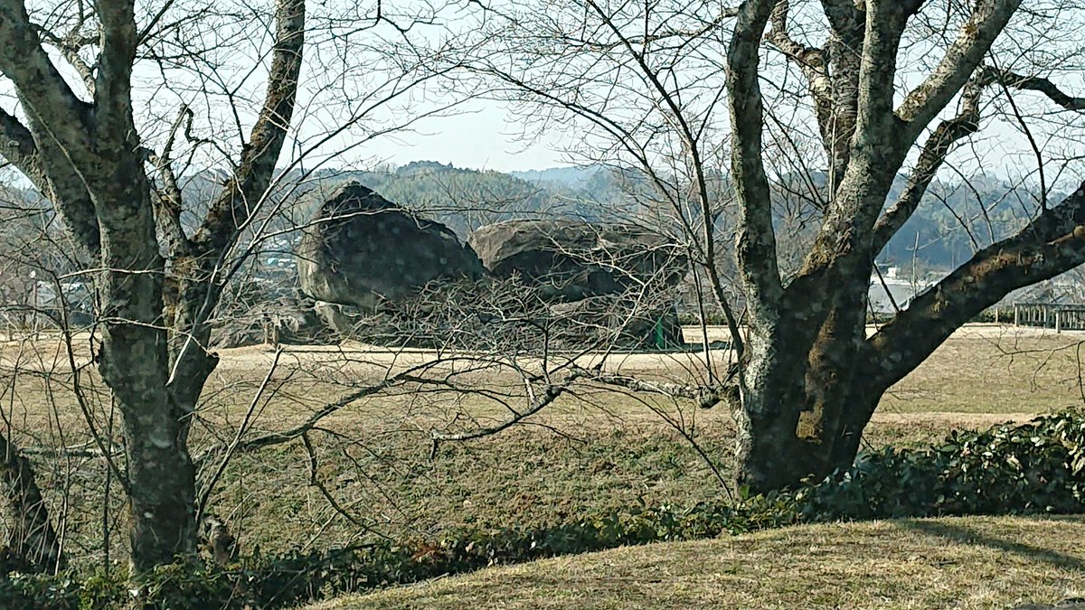 asukavill's tweet photo. 特集／3/13飛鳥ハーフマラソン🏃
世界遺産構成資産候補を走る その３
９枚目：飛鳥宮跡、飛鳥京跡苑池(右手遠く、突然川原寺も含め３つの遺跡が‥)
10枚目：石舞台(右手、生垣の奥に！)
11枚目：稲渕の棚田(正面全面、重要文化的景観❗)
12枚目：牽牛子塚古墳(右手、遥か彼方に真っ白な八角形墳が‼️) https://t.co/XzUuyshfD1
