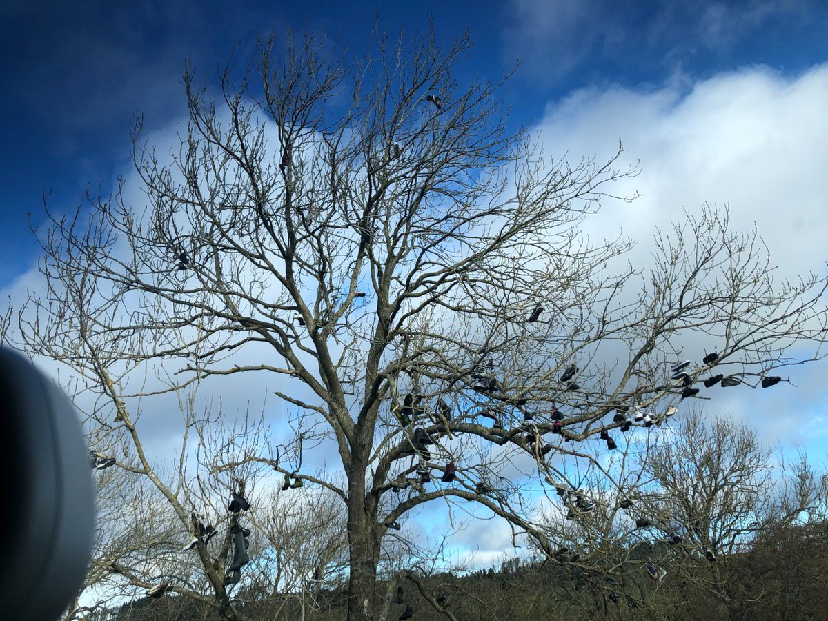 _Viewber's tweet photo. "My recent trip to Bellingham. Rolling hills, a flowing river and of course the famous 'shoe tree!'" - From a wonderful Viewber, William T.
Nice to learn more about the areas that Viewbers are based, all across the UK.
Who knew about this famous shoe tree? ππ€
#propertyservice https://t.co/0xb7bdnAi4