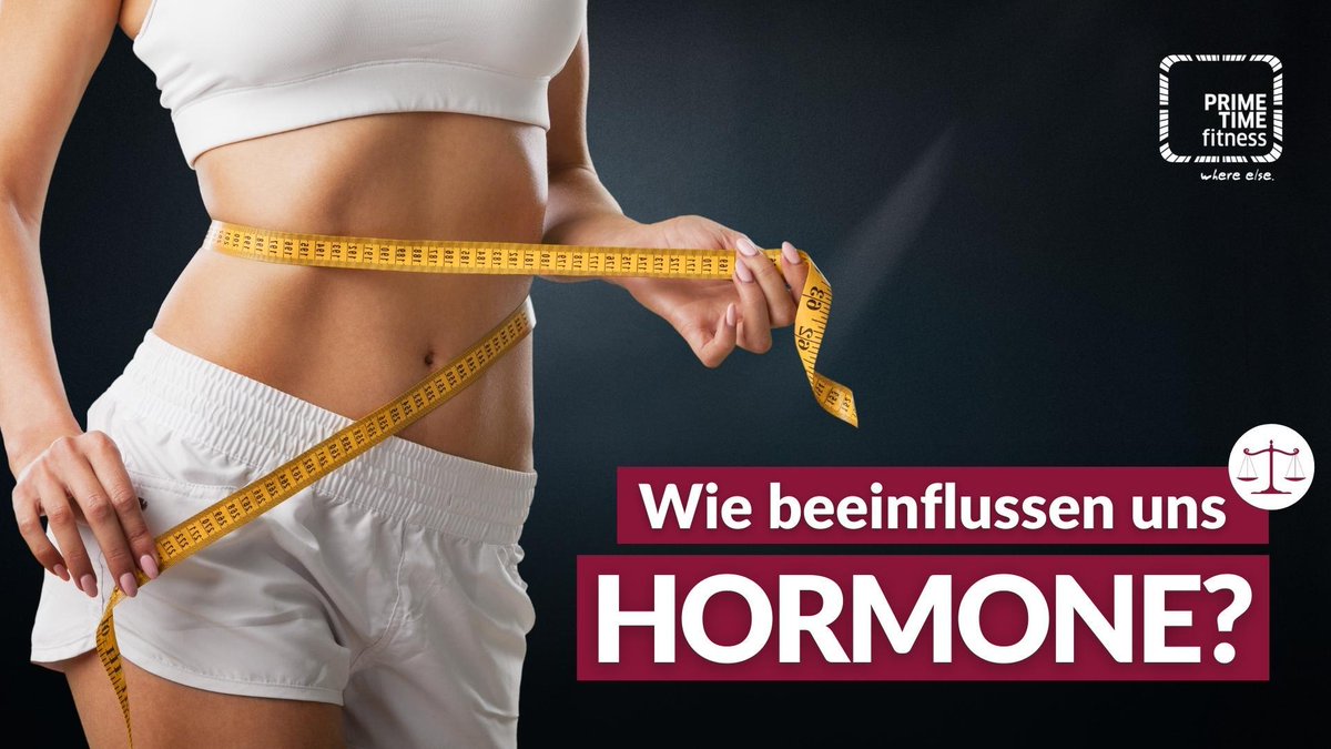 PRIMETIME_team's tweet photo. Du bist ständig müde und schlapp durch deine Diäten und trotzdem werden die Kilos nicht weniger? Erfahre jetzt, wie du durch körpereigene Hormone fit und schlank werden kannst: 
Webinar am 16. März um 18:00 Uhr 👉https://t.co/rpw5mJ47cl https://t.co/E9W4KS50IJ