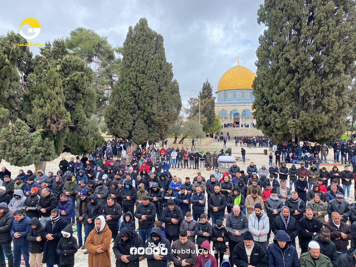 trkudus_en's tweet photo. Tens of thousands of Muslims from Al-Quds were in Masjid al-Aqsa to perform the Friday prayer. https://t.co/dPidgvNf5Q