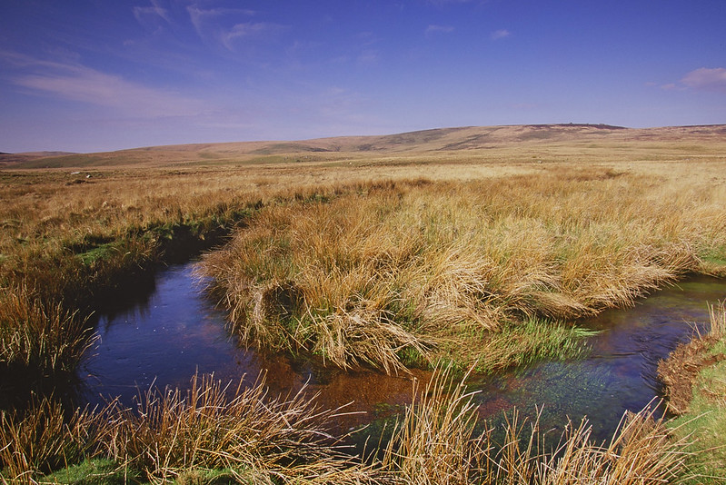 NEChiefSci's tweet photo. ✨Magic Map has been updated✨

This month, we have added some new instalments to the Moorland Change Map: an annual map showing whether change, such as burning, during the managed burn season has occurred.

Have a look at the link below!

https://t.co/0DYgpI53Zq

#MagicMap https://t.co/vFmL6pwJAq