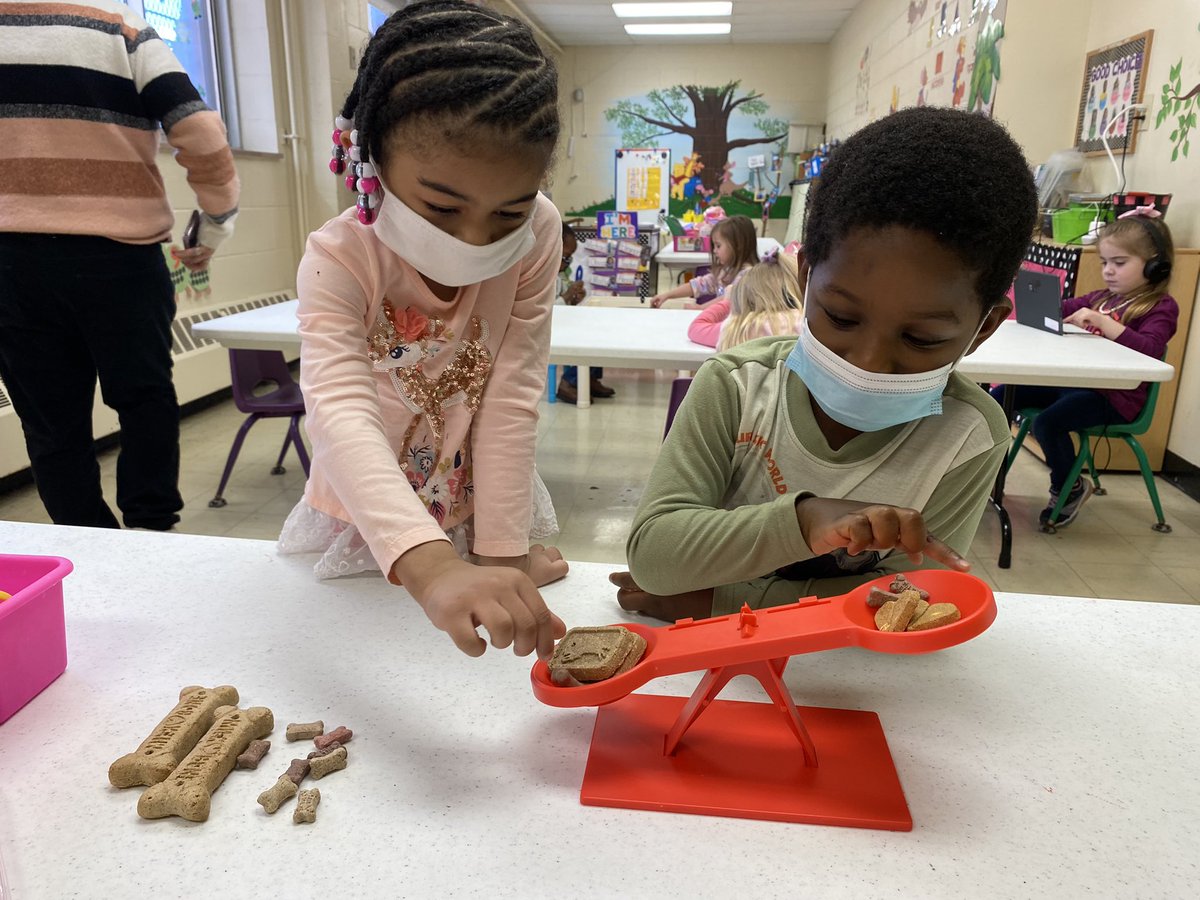 bssgr1's tweet photo. Pet Week in PreK-3! Click the Seesaw link below to see more fun! @bsskndg 
 https://t.co/8AGlgT30w6 https://t.co/TUJFBvBAS5