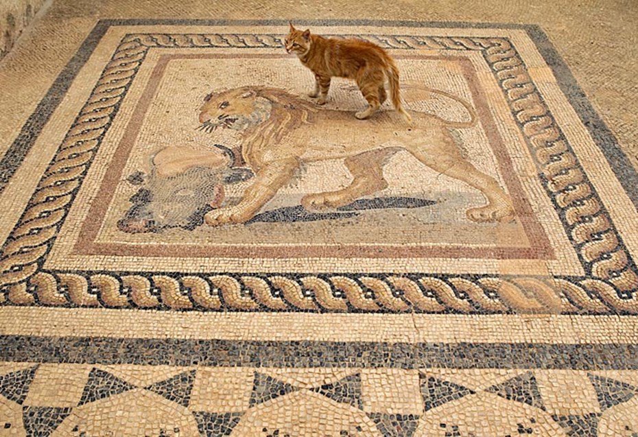 _MovArt's tweet photo. Cats of Ephesos https://t.co/QP5hglOiZF