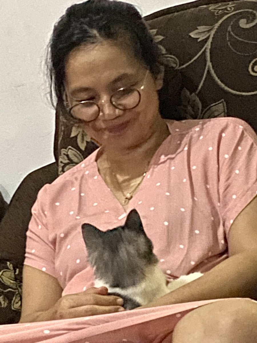 petsfess tweet picture