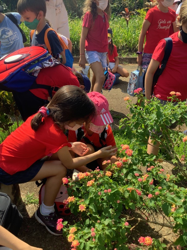 StPaulsSchoolSP's tweet photo. Pauleans are curious! Prep 1s had a fantastic time this week when visiting the Viveiro Manequinho Lopes, at Ibirapuera Park. The site is in charge of planting seedlings intended for planting in the city's public areas. #stpaulsschoolsp #BePaulean https://t.co/0fQcCzOcw9