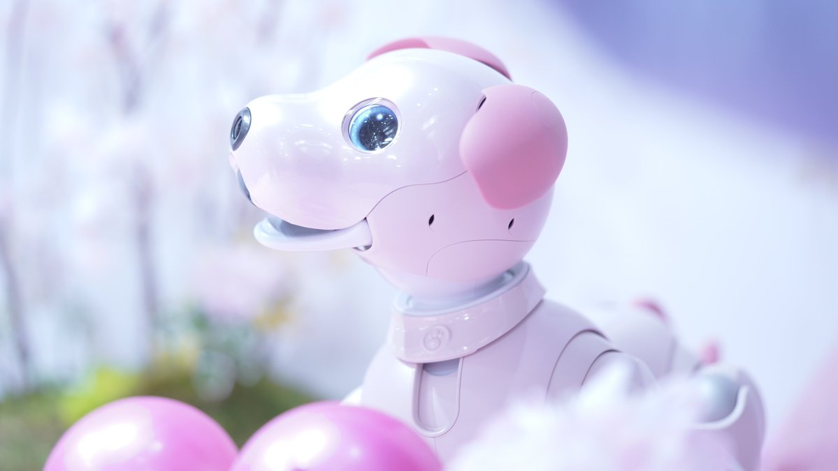 SonyStoreGinza's tweet photo. 【aiboをかわいく撮るレポート🐾】

もうすぐ春ですね🌸
今回は桜のフォトスポットをご用意しました😄

かわいい写真がたくさん撮れて
楽しい時間になりましたね♪

次回は4/11に開催予定です🐶
お待ちしてます🥰

🐾ご予約はこちらから🐾
https://t.co/B7zfhKXKSD

#aibo #ginza_aibo https://t.co/oH80XF3rNq