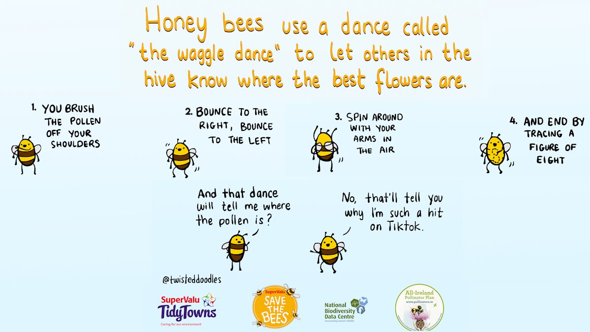 Have you tried the #WaggleDance yet? It's just four simple steps 🐝🐝🐝🐝Ireland’s bees have a key role to play when it comes to growing fruit &amp; veg but sadly, our bees are in trouble and could disappear if we don’t do something to help.