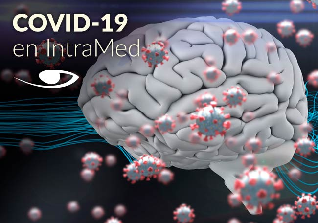 IntraMedNet's tweet photo. ¿Cuál es el impacto de la Covid19 en el cerebro? Reducción de la materia gris. Disminución del tamaño del cerebro. Deterioro cognitivo. Daño tisular en la corteza olfativa primaria. https://t.co/DUJxQjHHGy https://t.co/slg6PSmFW9