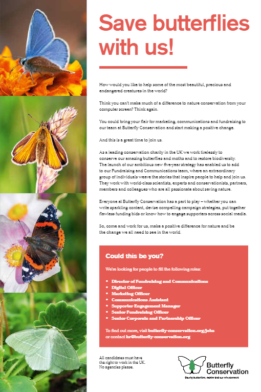 savebutterflies's tweet photo. We have some exciting opportunities within our #Fundraising & #Communications team. For all the details visit: https://t.co/8mEGBJu5i0
#jobs https://t.co/6zqDoVeaJj