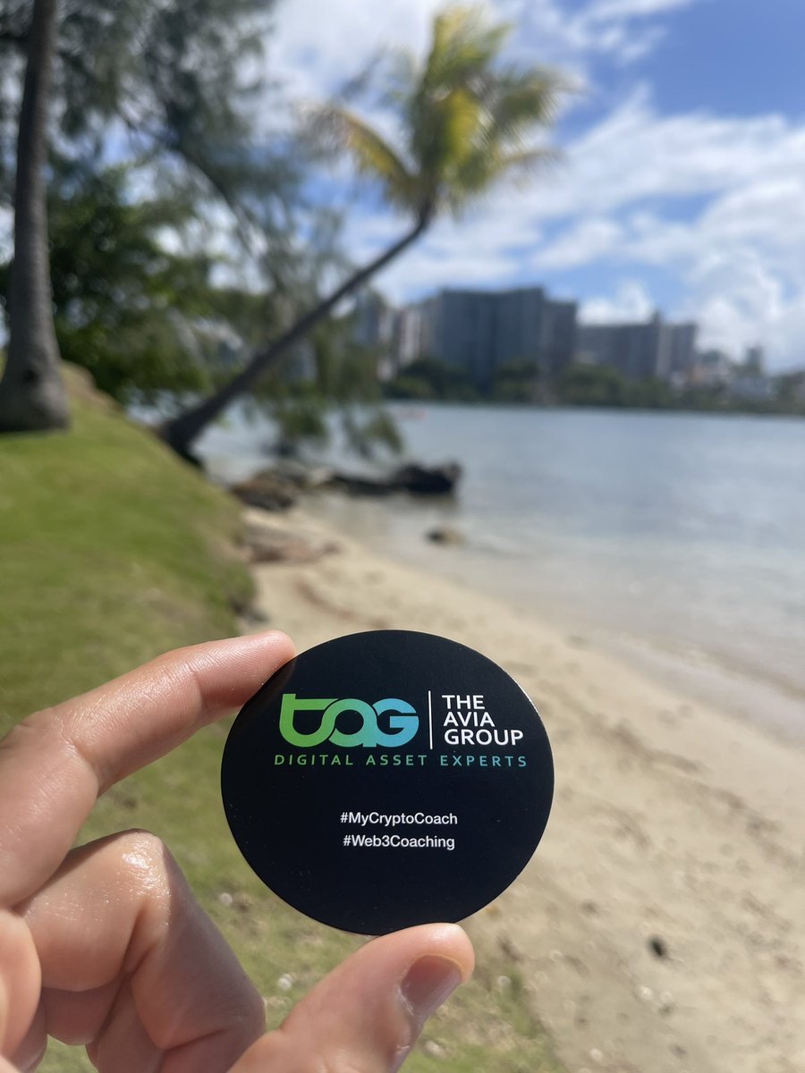theaviagroup's tweet photo. GM! 🤗 Unexpected crypto conversations at the beach always welcome 💫🏝 #LearnMore #EarnMore #WAGMI #CryptoTraveler #MyCryptoCoach #Web3Coaching #PrepareForTakeoff 🚀 https://t.co/Rxor1NgRdL