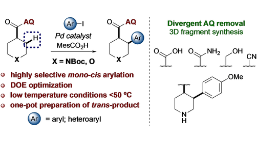Stereoselective Palladium-Catalyzed C(sp3)-H Mono-Arylation of Piperidines and Tetrahydropyrans with a C(4) Directing Group (Bull) onlinelibrary.wiley.com/doi/10.1002/ad…