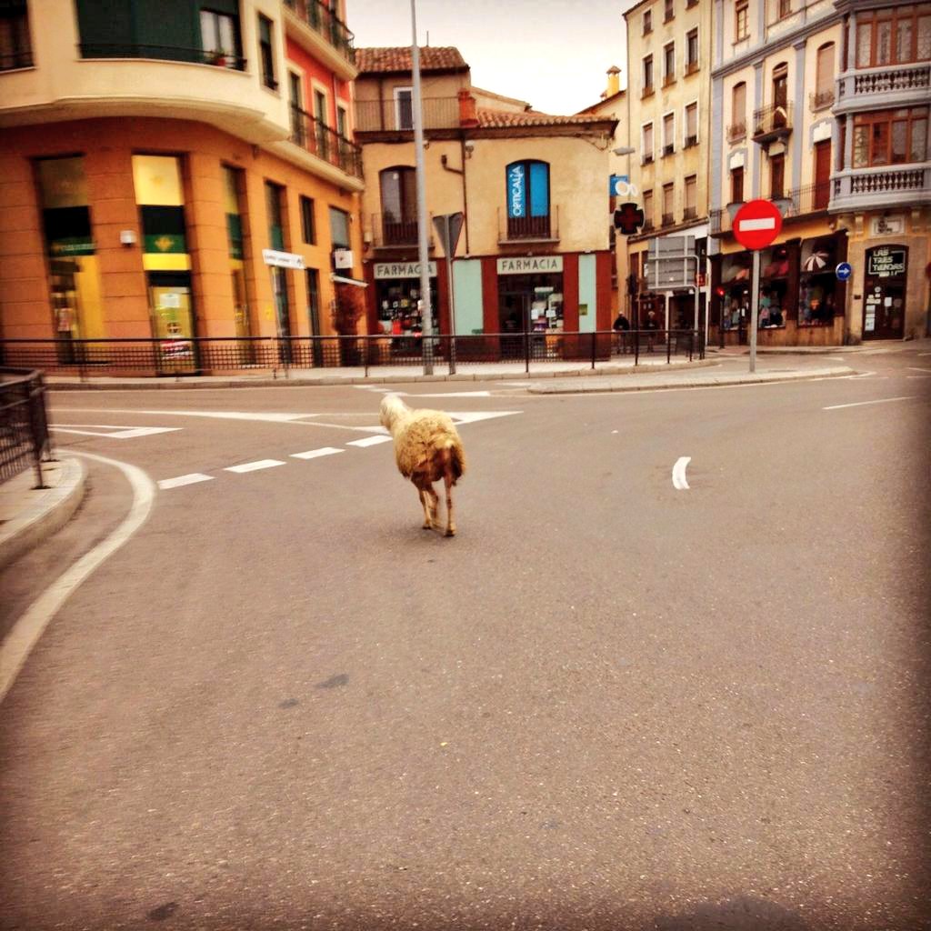 MemesDelOeste's tweet photo. Vivo en un pueblito de Italia de erasmus y estas son las vistas que tengo nada más salir de casa ♥️🇮🇹 https://t.co/2m0OqJTNk4