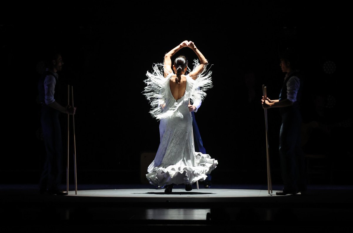 CulturaCuenta's tweet photo. Ya puedes consultar el catálogo de espectáculos seleccionados para el programa Flamenco Viene del Sur 2022 #FVS en teatros propios y Flamenco Viene del Sur 2022 en gira #FVSG:

https://t.co/Tp9O2zKMQ8

@CulturaAND https://t.co/TuopVW3ICd
