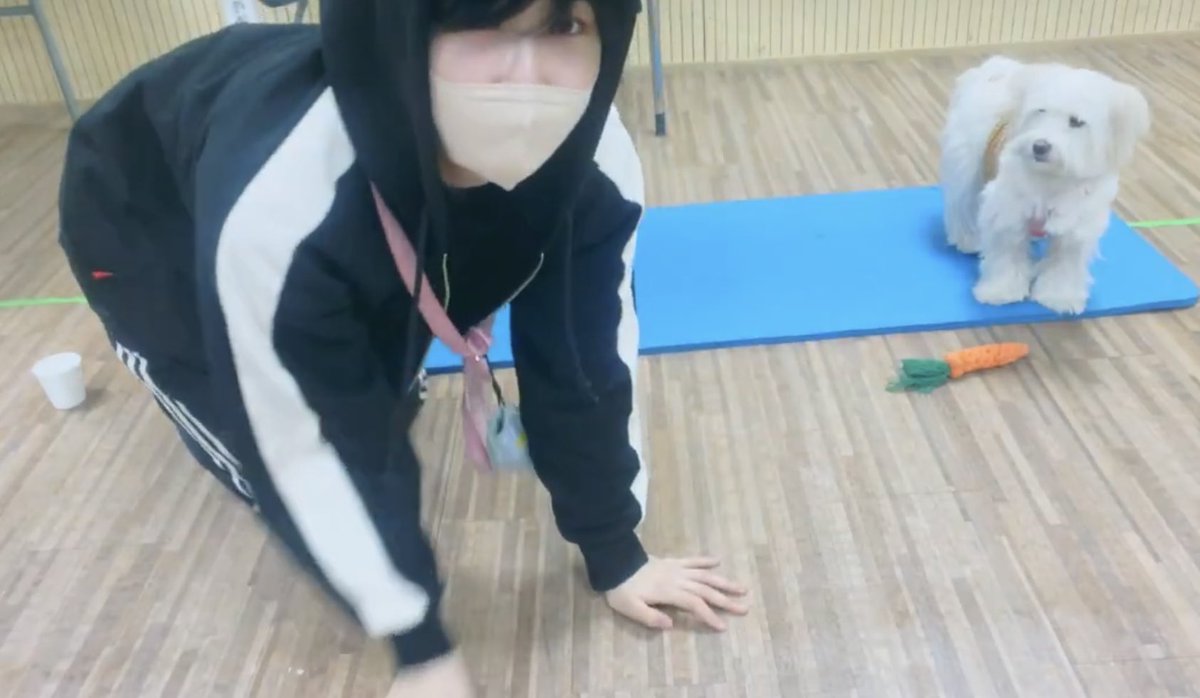 no context verivery (@nocontextvrvr) on Twitter photo 