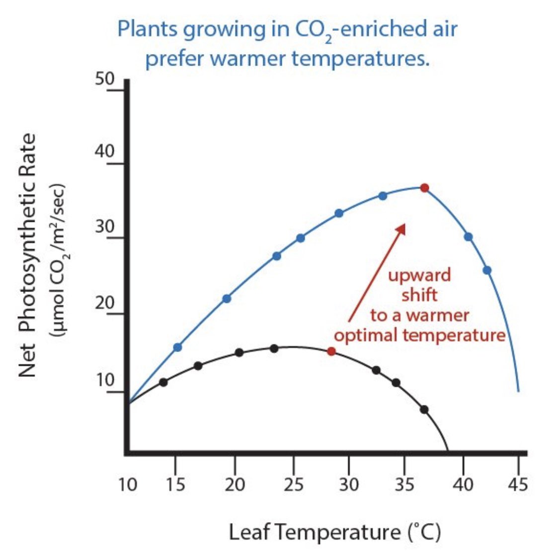 Ignores basic plant physiology. Increased CO2 increases photosynthesis, raises its temperature optimum and increases water use efficiency. 
What’s not to like? https://t.co/bD8v4Xu4Hn https://t.co/vWsjj4HzTA