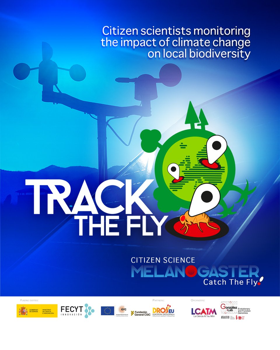 LCATMon's tweet photo. Preparación de recursos didácticos con el equipo de científico, tecnológico y de comunicación de #TrackTheFly, la actividad de #CienciaCiudadana para monitorear el impacto del #CambioClimatico  en la #biodiversidad de #MelanogasterCTF 

#Drosophila #STEMgirls #greendeal https://t.co/Y0yInH2zRM