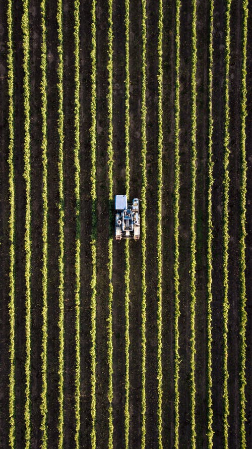 CiaFvg's tweet photo. Ucraina: Cia, l’agricoltura non può fermarsi. Subito interventi per il settore
L'articolo completo su https://t.co/tR7ICwCrAh
#ciafvg #ucrainaàagricoltura #CIAAgricoltoriItalianidelFriuliVG #ASeSAgricoltoriSolidarietàeSviluppo #interventi #settore https://t.co/4Roloas0Wz