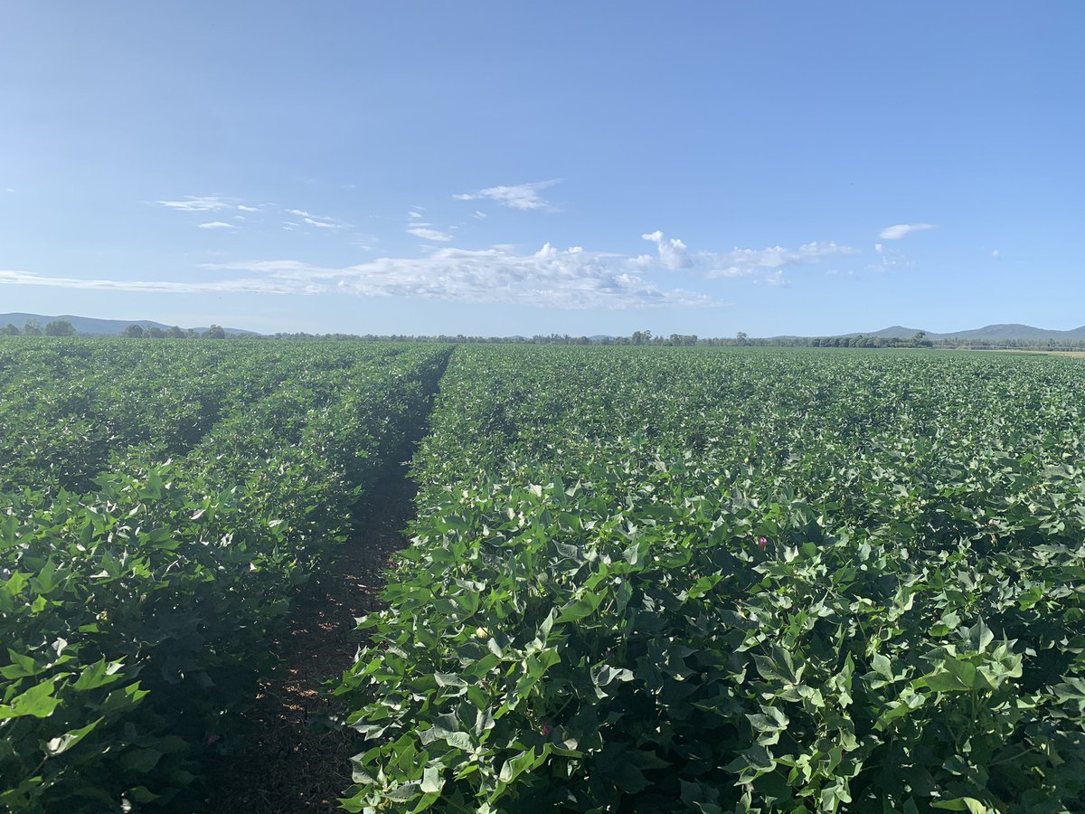 HSSConnect tweet media