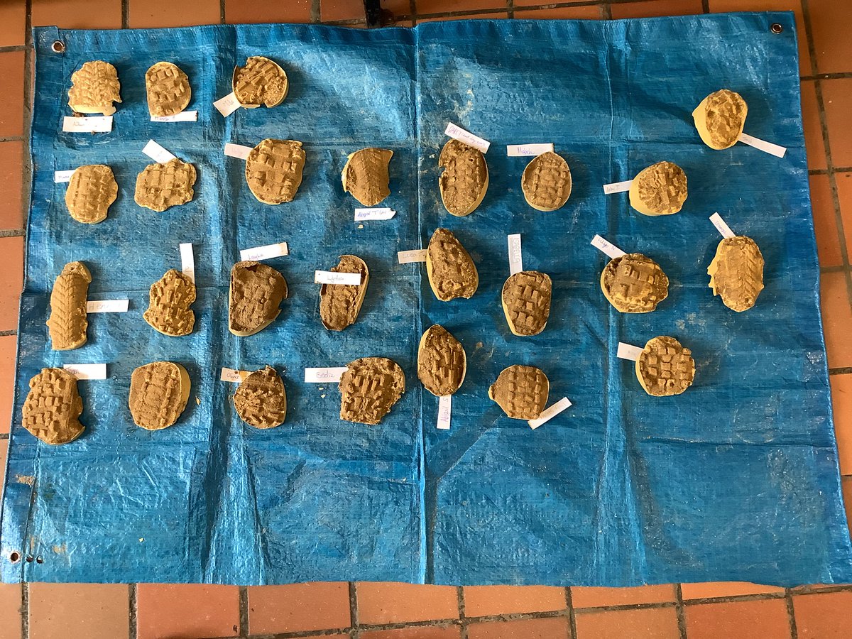 NewMillJrSchool's tweet photo. We have created our own tyre tracks in sand and learned how to take a cast for identifying different vehicles. #NMJSscience https://t.co/ERklWL3nWZ
