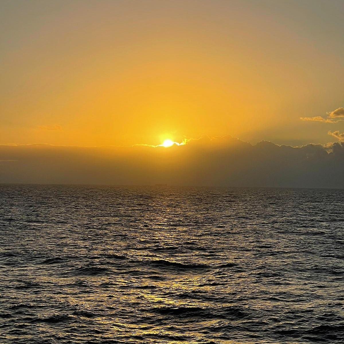 jawmedic's tweet image. Summer is on the horizon....  just saying  #hubbards #NovaScotia