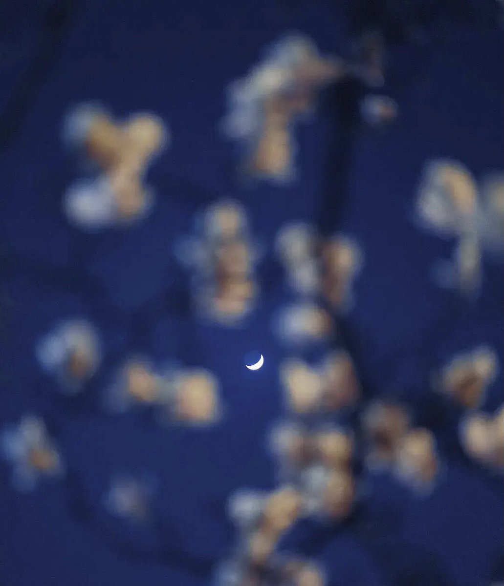 Heloise_Zhang's tweet photo. 影影绰绰的花树中透出来的弯月🌙
#夜景 #风景 #月亮 #moonlight #美景 #意境 #Nightography https://t.co/ORc56NeBYa
