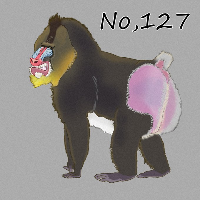 マンドリルのtwitterイラスト検索結果 マンドリルのtwitterイラスト検索結果
