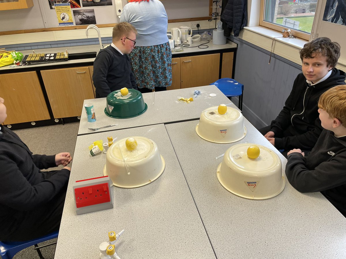 MorganSfL1's tweet photo. This morning in Science the ESA boys planted some seeds and then we made some erupting and frothy volcanoes with lemons! What a smashing science lesson! 🤩🌋💥 #ESAScience #VolcanicLemoms #MorganESA #Nurture @morganacademy1 https://t.co/prwuk12BVu