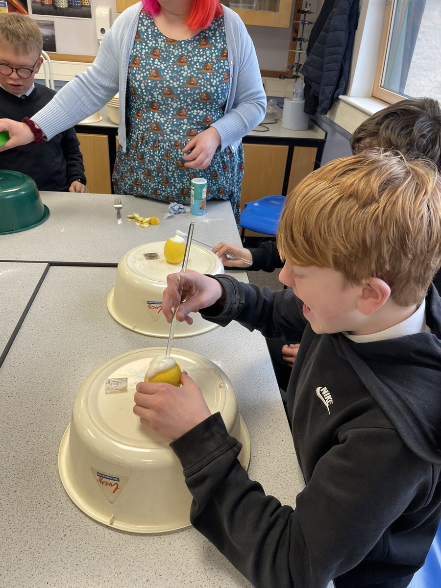 MorganSfL1's tweet photo. This morning in Science the ESA boys planted some seeds and then we made some erupting and frothy volcanoes with lemons! What a smashing science lesson! 🤩🌋💥 #ESAScience #VolcanicLemoms #MorganESA #Nurture @morganacademy1 https://t.co/prwuk12BVu