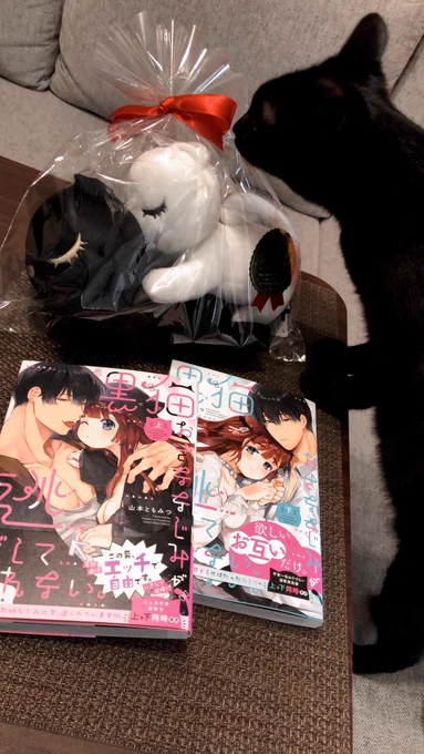 紙版コミックスは1週間後の18日発売です〜!見本誌届きました🐈‍⬛ 