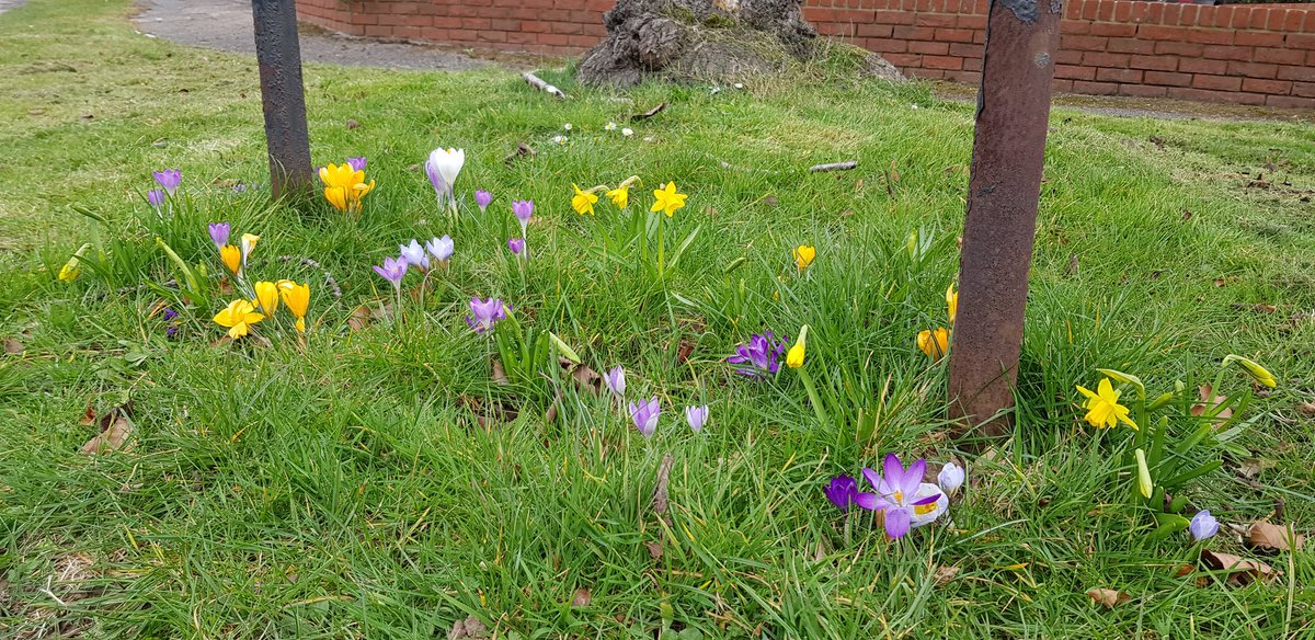 Claire Godfrey tweet media